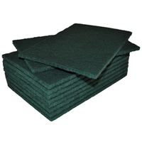 Click for a bigger picture.Heavy Duty Scourers - Green 250X150MM