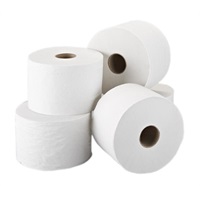 Click for a bigger picture.Versa Twin Toilet Roll - 1ply  180m x 90mm