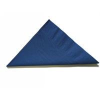 Click for a bigger picture.Napkins - Navy Blue 40cm 2ply 2000 per case