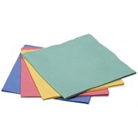 Click for a bigger picture.Evolon 170 Microfibre Cloths - Green