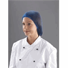 Click here for more details of the Hair Nets - Blue