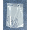 Click here for more details of the Freshwrap Snappy Bags - Clear 200x250mm 2000 per case